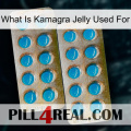 What Is Kamagra Jelly Used For new08